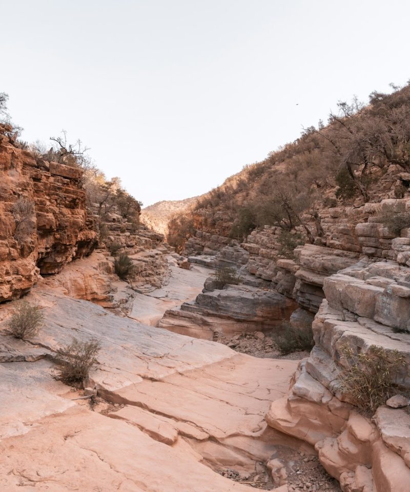 Excursions from Agadir to Paradise Valley