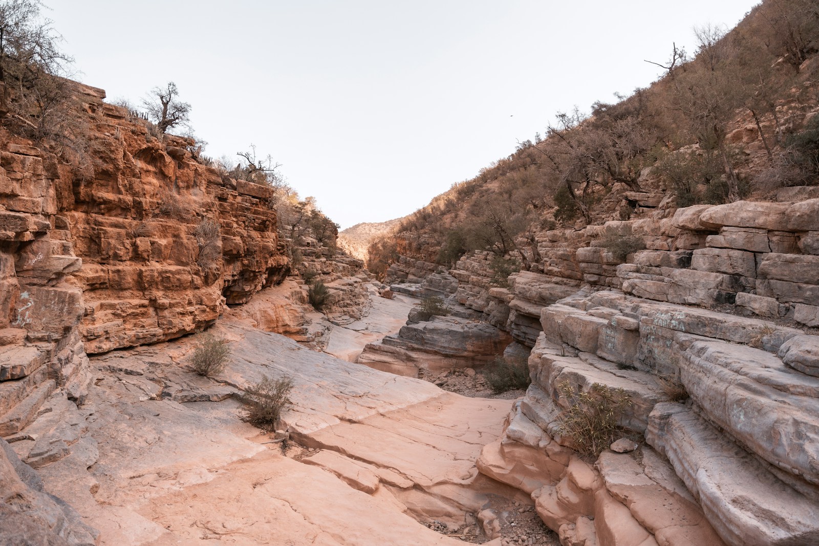 Excursions from Agadir to Paradise Valley
